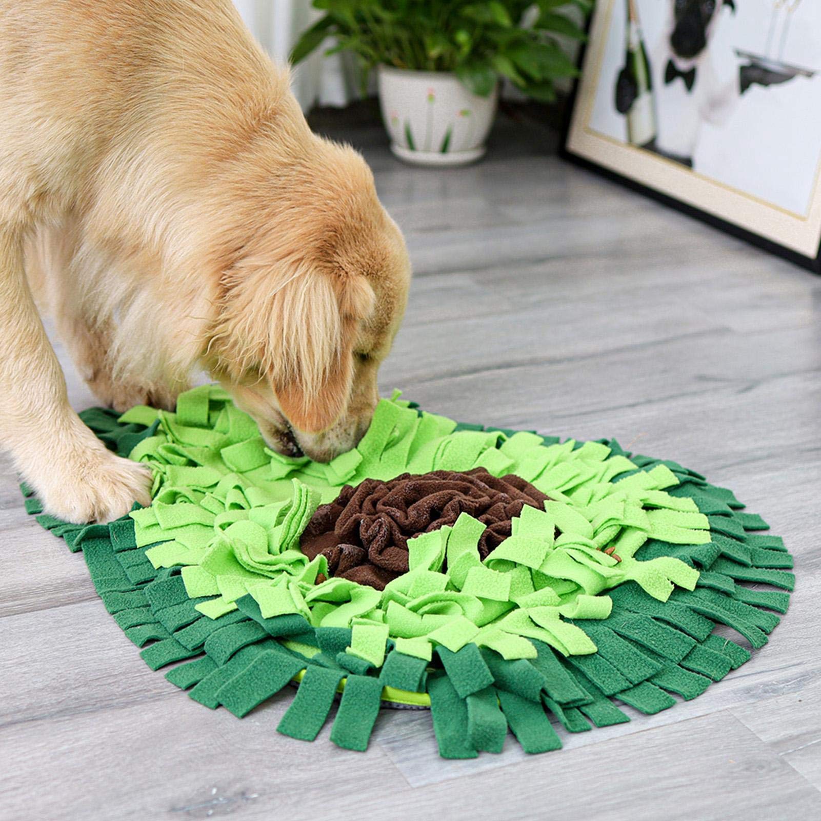 The Snuffle Mat — Boredom-Busting Feeding Toy for Dogs